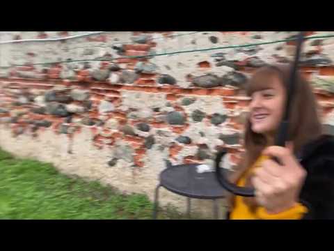 03.11.2019 8a Camp. REG. UNDER15 - STAG. 2019/2020 Andata - CASELLE Vs AYGREVILLE 2005: 02-01;