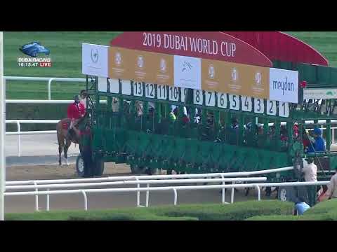 《Nonkono Yume（ノンコノユメ）》2019 Godolphin Mile  -   جودلفين ماي（ゴドルフィンマイル）