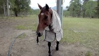 Zeuss feedtime   someones hungry!