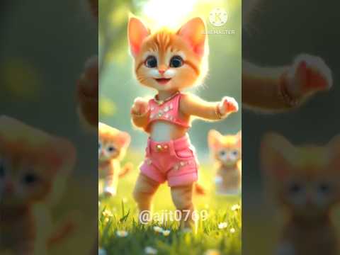 cute cat dance #cat dance video#ajitshort #love