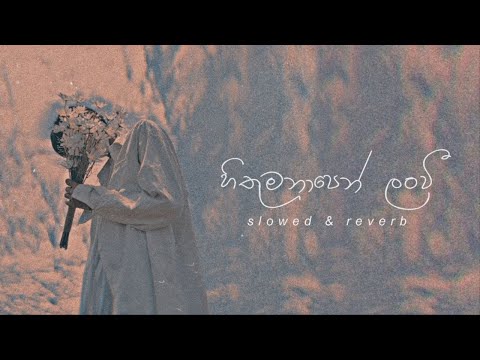 Hithu Manapen Lan Wee Pem Kale Ai Api (Slowed & Reverb) | හිතුමනාපෙන් ලංවී  #lyrics #listen