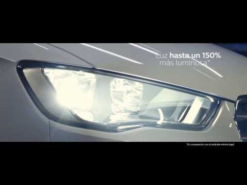 PHILIPS RACING VISION - Luz hasta un 150% más brillante: la bombilla halógena legal más potente
