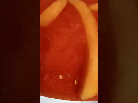 This Is My Lunch Watermelon and Canteloupe With My Initial M T