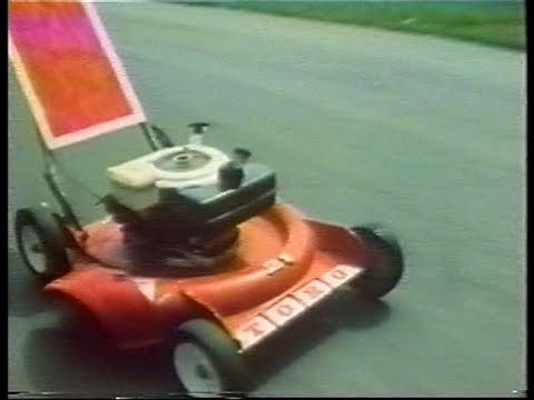Torro, Torro, Torro ! (1981)