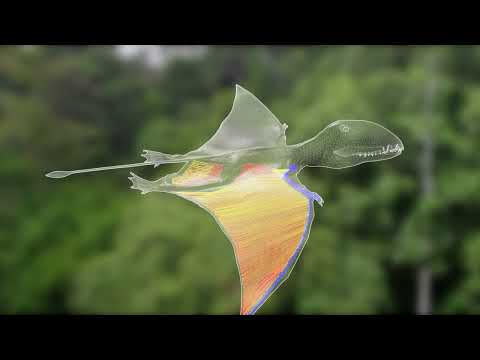 Conquest of the Skies - Rivals ( Episode 2 )