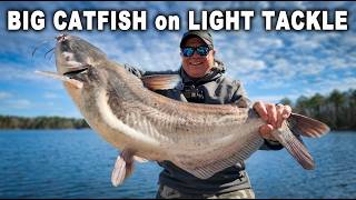Light Tackle vs BIG Catfish – Can It Really Handle the Power?
