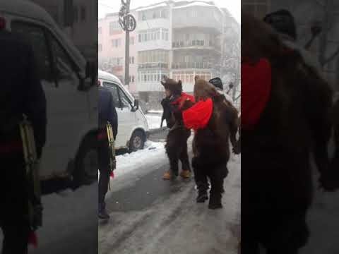 Ursul din adjud !@$#💪