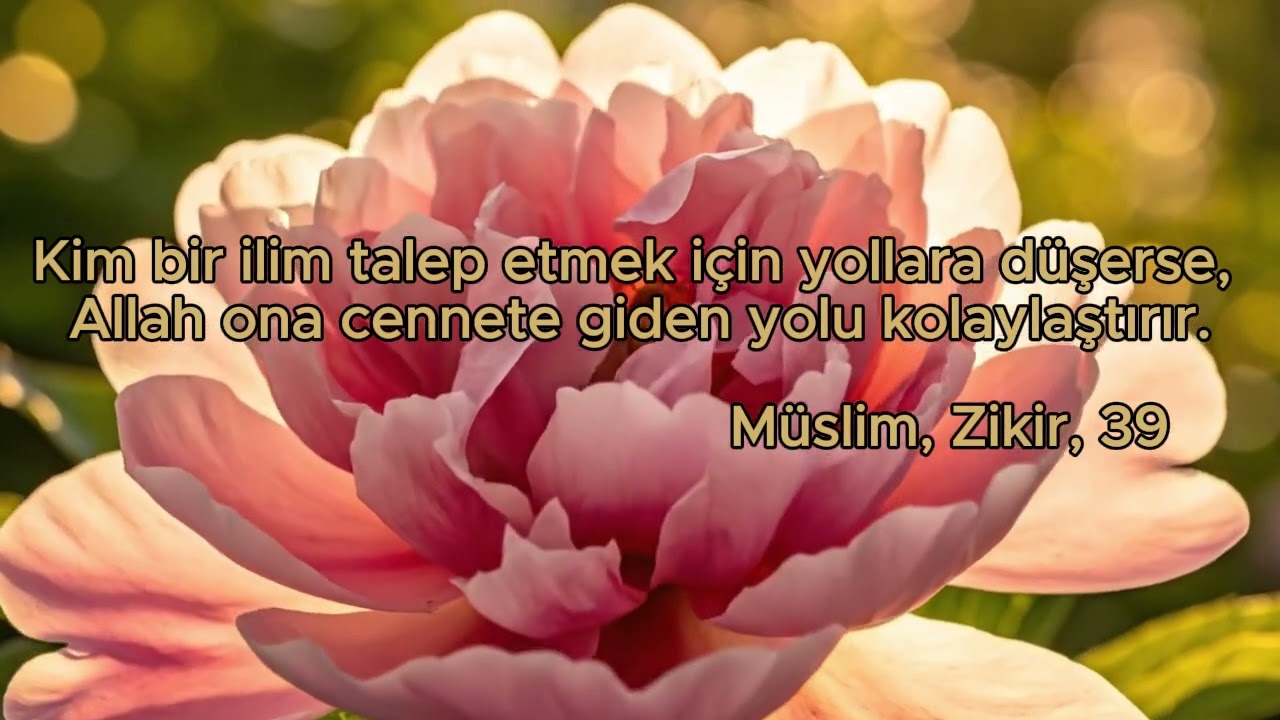 Cennetin En Kolay Yolu! 🛣️✨ #hadis