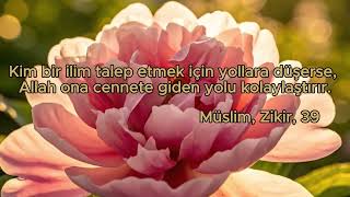 Cennetin En Kolay Yolu! 🛣️✨ #hadis