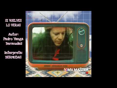 SI VUELVES LO VERAS-BERMUDAS