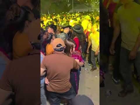 Los caminantes en vivo