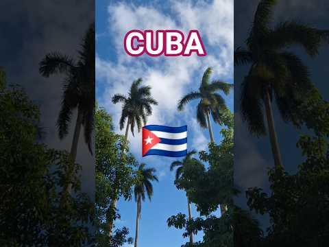 ASÍ ES PUEBLO DE CUBA EN PLACETAS VILLA CLARA. PALMAS Y CIELO AZUL