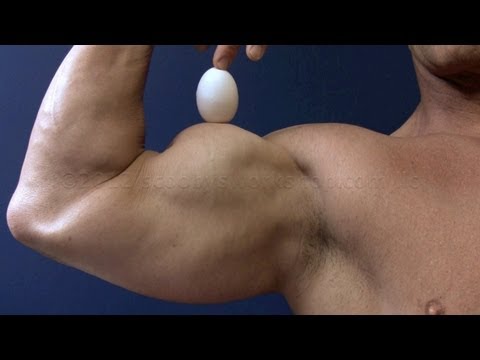 download lagu mp3 mp4 Raw Eggs Bodybuilding Protein, download lagu Raw Eggs Bodybuilding Protein gratis, unduh video klip Raw Eggs Bodybuilding Protein