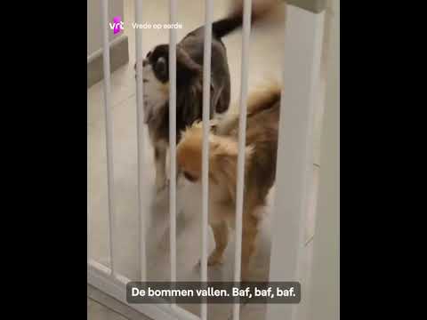 The Russians are coming