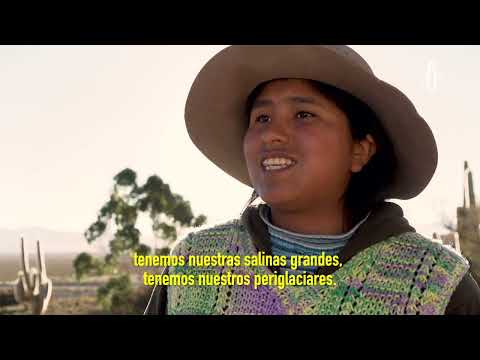 Amnistía Internacional — Litio, Salinas
