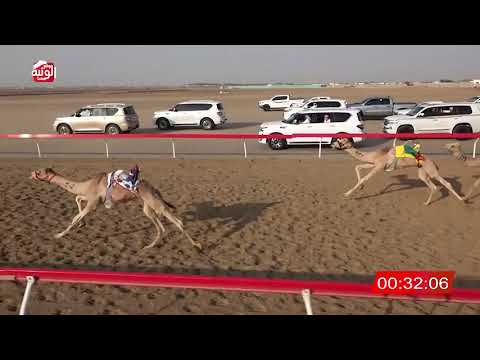  ش 16 (شاهين) لـ مسلم علي بن دري المنصوري 1:47:99 , شارة الصندوق 2026/03/14 فطامين الوثبة
