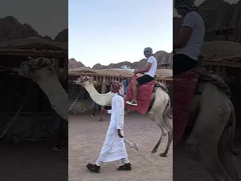 Xhiro me deve në shkretëtirë!🐪 Sharm El Sheikh, Egjipt🌍