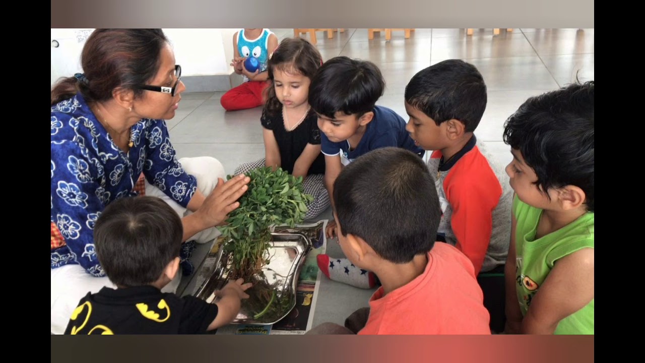 Nurturing Curiosity in Children