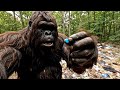 BigFoot Finds A Blue Chew Does Not End Well Episode12