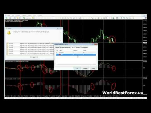 Video MACD Message