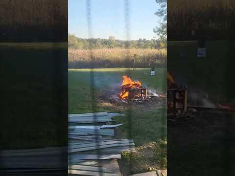 throwing bullets in a fire...safe or not ?