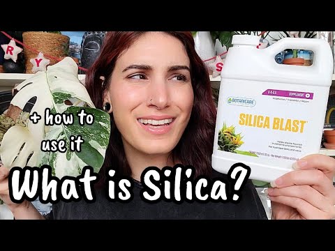 What is Silica & Do Your Plants Need It?? 🌿 everything you need to know before buying & using silica