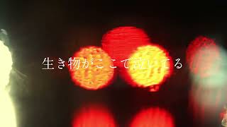 ハリイザリトル（Harry the little） - 嘘みたいに優しい手 [Official video]