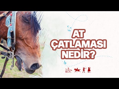 , title : 'At çatlaması ne anlama gelir? Nasıl olur?  | Ertan Erkekoğlu'