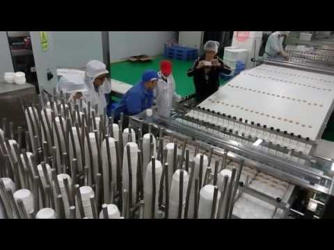 Automation paper cup loading system for cookies-APEX MACHINERY