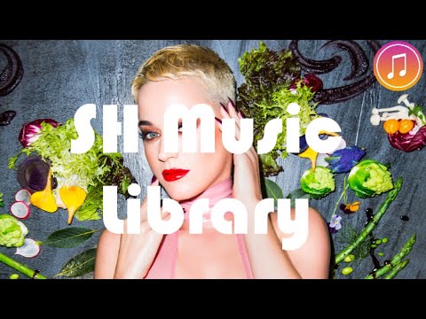 Altero & Niwel Coming Home (Alex Keeper Remix) - Copyright Free Music || SH Music Library