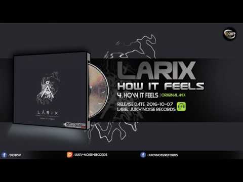 Larix - How It Feels