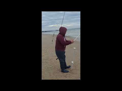 🎣Adelanto del video. pesca de pejerreyes en Santa Lucia Del Este.