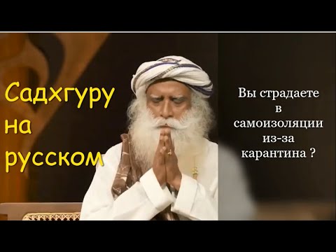 Вы страдаете в самоизоляции из за карантина ? Садхгуру на русском.