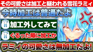 今時写真を加工するのは普通と語った結果雪民に「加工外してみて」だの「Youtubeがぐるってる隙に加工してる」だの好き放題言われる雪花ラミィ【ホロライブ/雪花ラミィ】