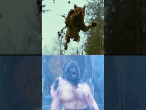 Jacob Black vs. Van Helsing 🐺 Who wins?