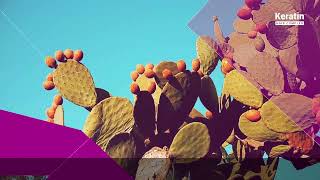 Film reklamowy - Keratin Hair Complex