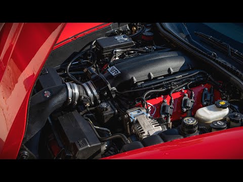 C6 Z06 BTR TRINITY Intake Manifold | Dyno Session (VS. MSD Atomic)
