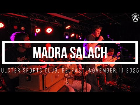 Madra Salach. Ulster Sports Club, Belfast. November 11 2025