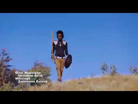 Ittisaa Bashaadaa kormatu dhalcha  new Afaan oromoo music