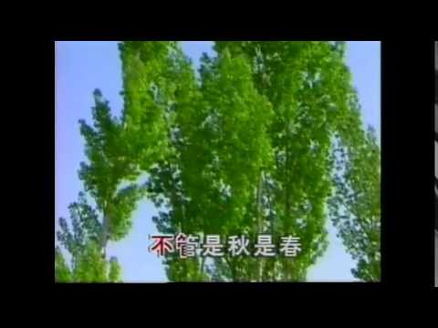 周璇 渔家女 Music Video