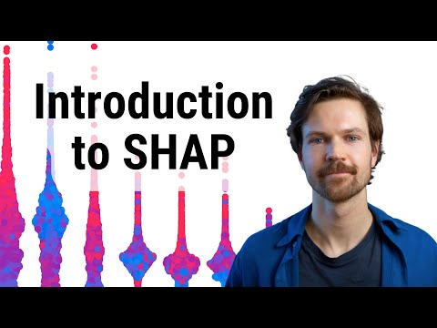 SHAP values for beginners | What they mean and their applications