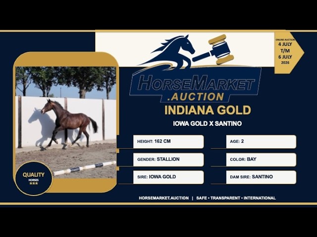 Indiana Gold
