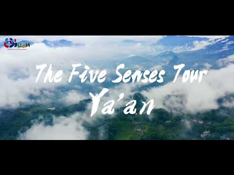 The Five Senses Tour - Ya'an, Sichuan, China