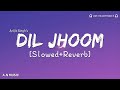 Dil Jhoom (Slowed+Reverb) | Arijit Singh | Gadar 2 | A.N MUSIC | #lyrics