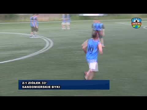 PLAY-OFF. SANDOMIERSKIE BYKI - ONDULINE MIELEC 4:2