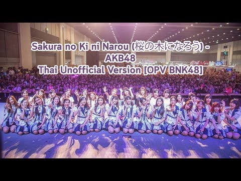 (Fanmade) Sakura no Ki ni Narou - AKB48 Thai Version [OPV BNK48]