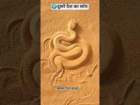 Sarp Vs👹 Sarp 👽Jungle ki khunkhar nagin sart video #sart​ #snake​#trending  #viral #poetry