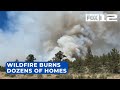 Golden Fire destroys dozens of homes in S. Oregon; firefighters rescue missing dog