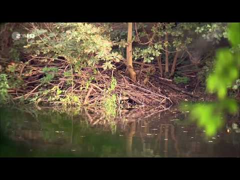 Deutschland Deine Städte Doku über Deutschlands Städte Teil 1