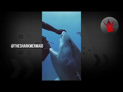 Best of WorldStar Instagram Compilation - Episode 54